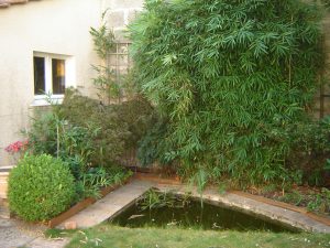 DSC01906